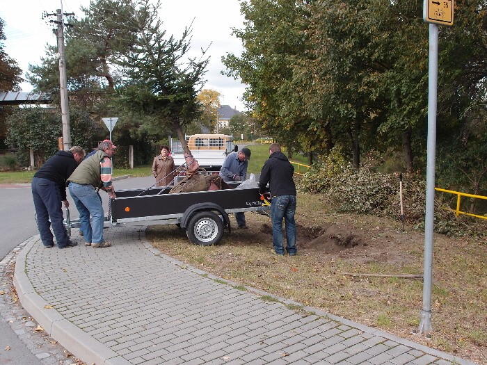 Výsadba vánočního stromu na Palhanci 14.10.2011 