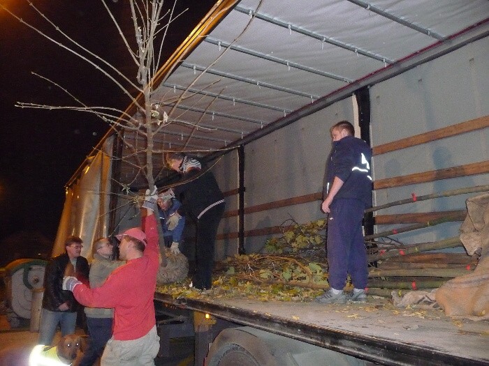 Výsadba stromů směrem z Vávrovic na Držkovice 5.11.201