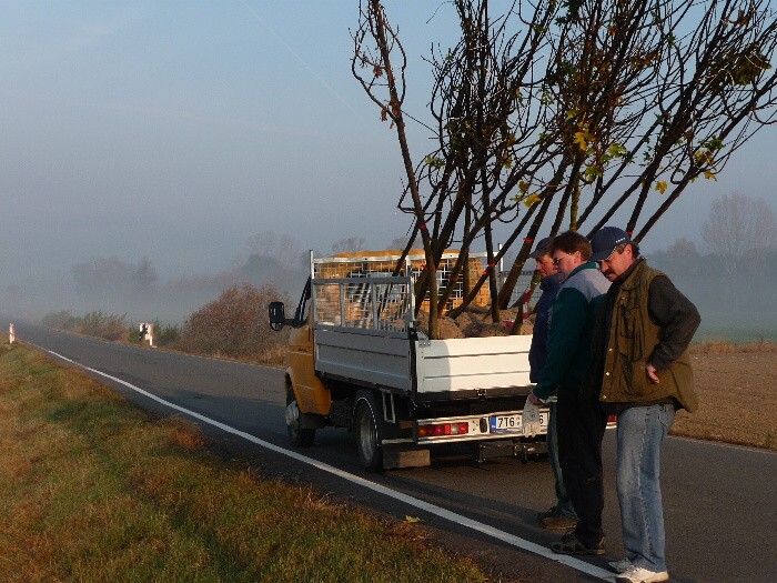 Výsadba stromů směrem z Vávrovic na Držkovice 5.11.201