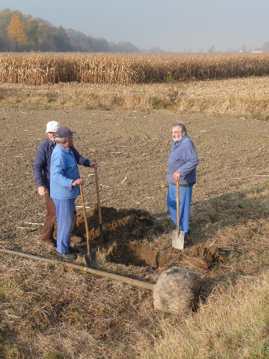 Výsadba stromů směrem z Vávrovic na Držkovice 5.11.201