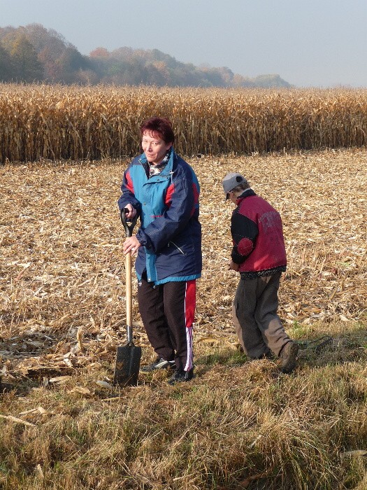 Výsadba stromů směrem z Vávrovic na Držkovice 5.11.201