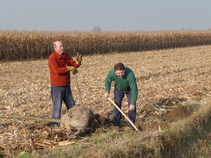 Výsadba stromů směrem z Vávrovic na Držkovice 5.11.201