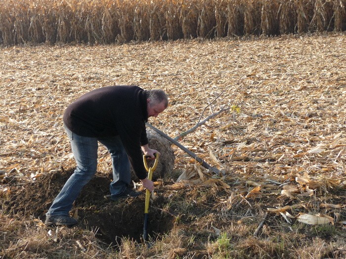 Výsadba stromů směrem z Vávrovic na Držkovice 5.11.201