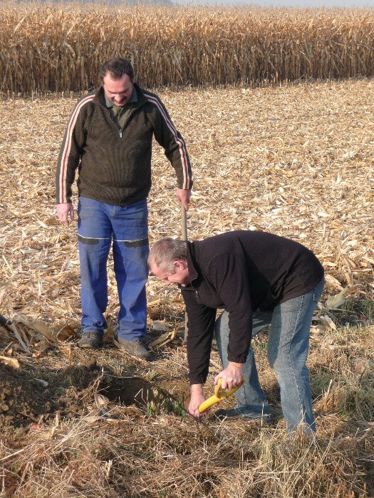 Výsadba stromů směrem z Vávrovic na Držkovice 5.11.201