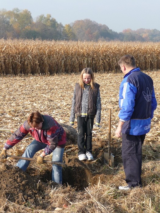 Výsadba stromů směrem z Vávrovic na Držkovice 5.11.201