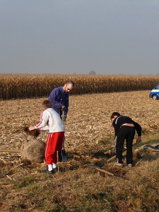 Výsadba stromů směrem z Vávrovic na Držkovice 5.11.201