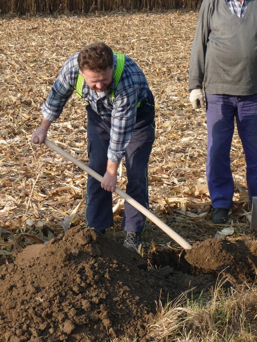 Výsadba stromů směrem z Vávrovic na Držkovice 5.11.201