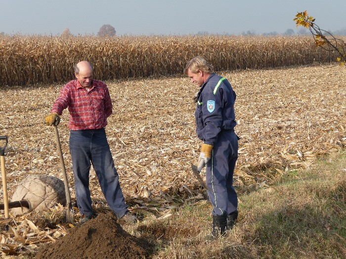 Výsadba stromů směrem z Vávrovic na Držkovice 5.11.201