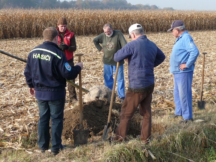 Výsadba stromů směrem z Vávrovic na Držkovice 5.11.201