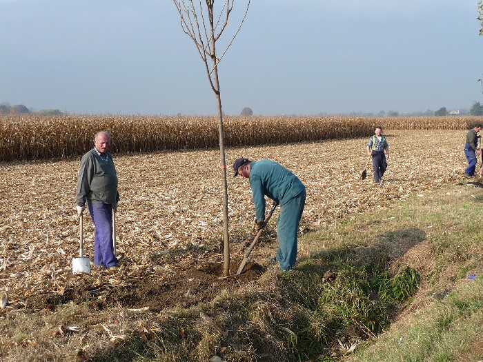 Výsadba stromů směrem z Vávrovic na Držkovice 5.11.201