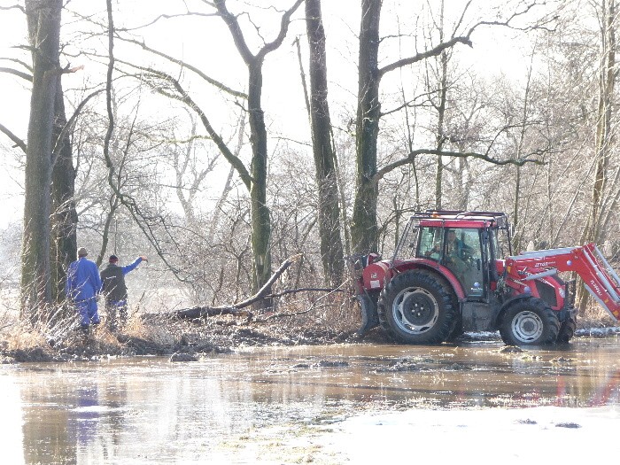 Zamrzlá řeka - ledové kry 25.2.2012