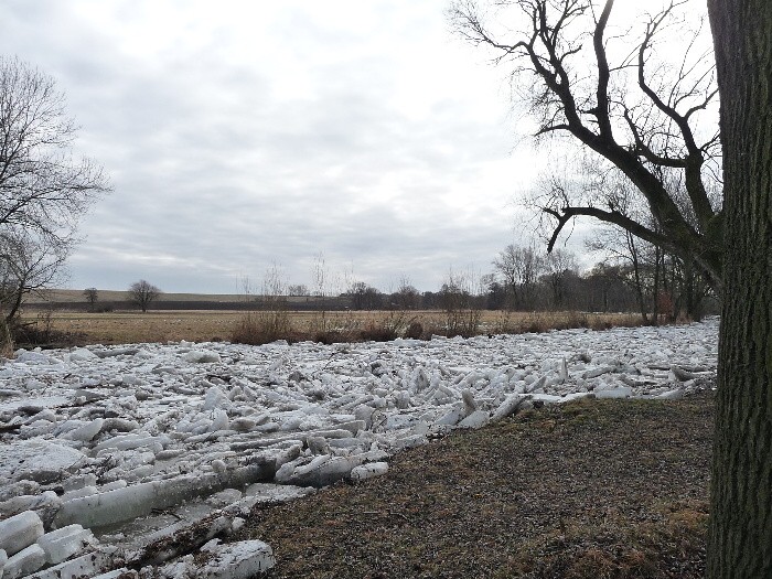 Zamrzlá řeka - ledové kry 25.2.2012