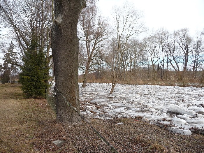 Zamrzlá řeka - ledové kry 25.2.2012