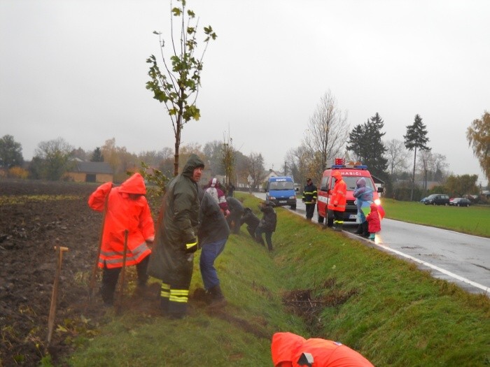 Výsadba stromů  27.10.2012 