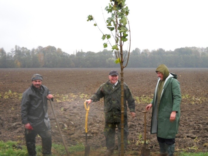 Výsadba stromů  27.10.2012 