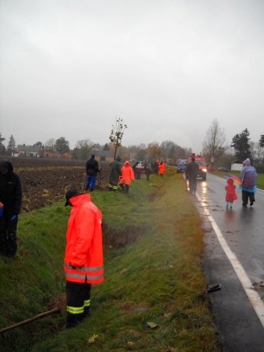 Výsadba stromů  27.10.2012 