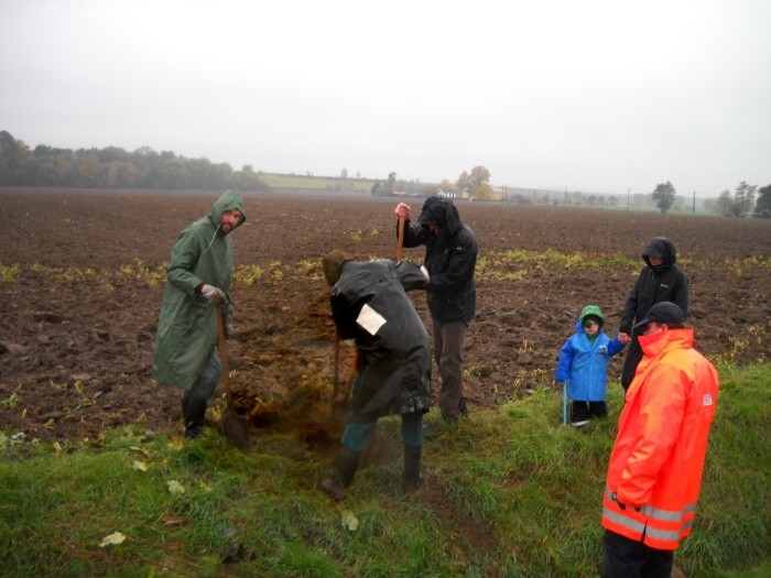 Výsadba stromů  27.10.2012 