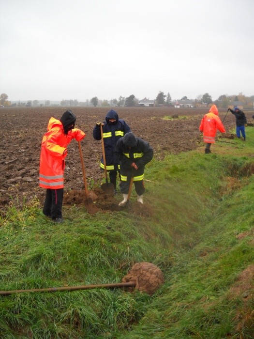 Výsadba stromů  27.10.2012 