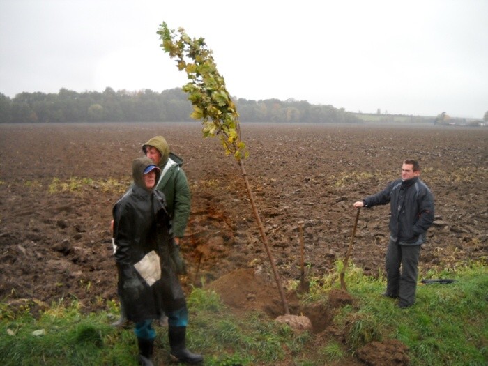 Výsadba stromů  27.10.2012 