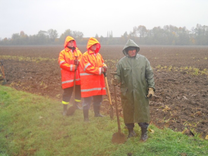 Výsadba stromů  27.10.2012 