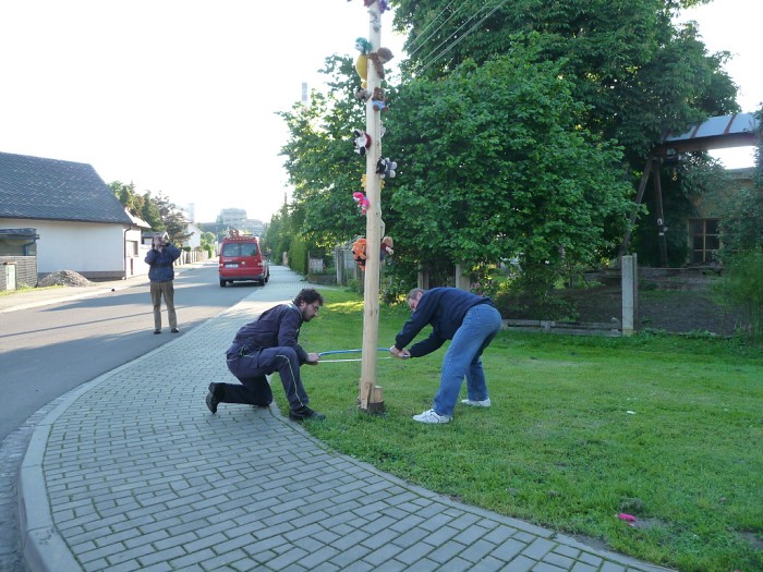 Stavění a kácení Máje 2013