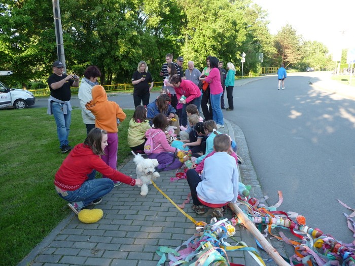 Stavění a kácení Máje 2013