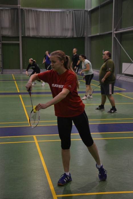 Badmintonový turnaj 2014 