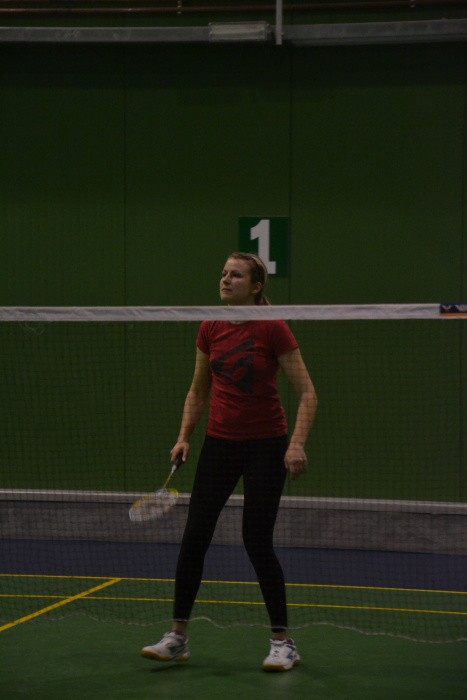 Badmintonový turnaj 2014 