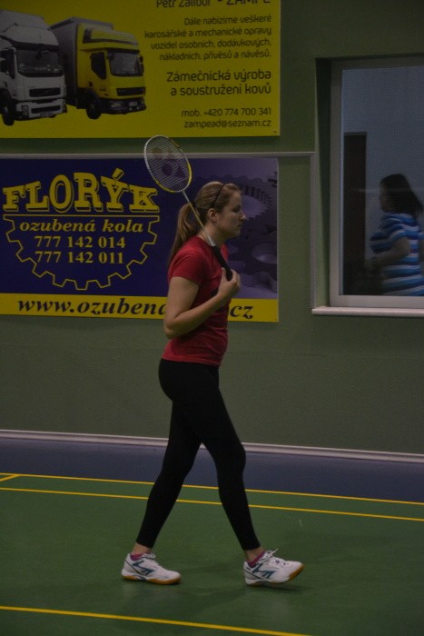 Badmintonový turnaj 2014 