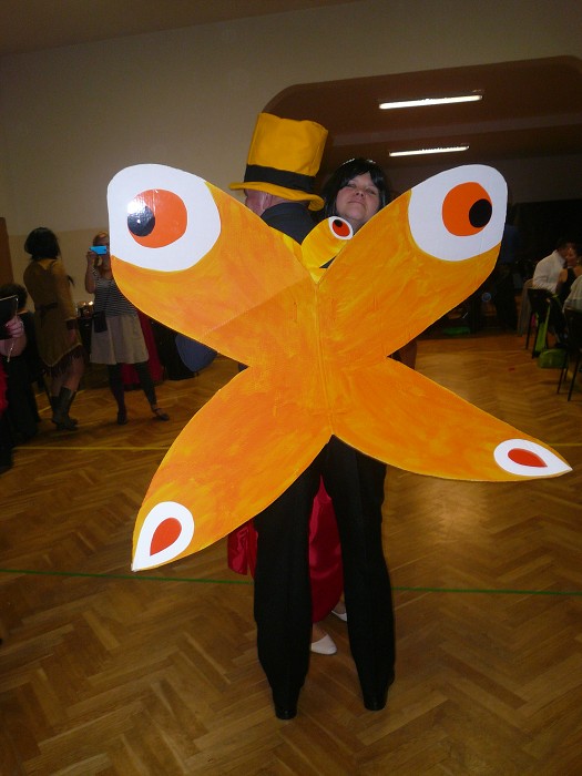 Ples TJ Sokol Vávrovice 24.1.2015 